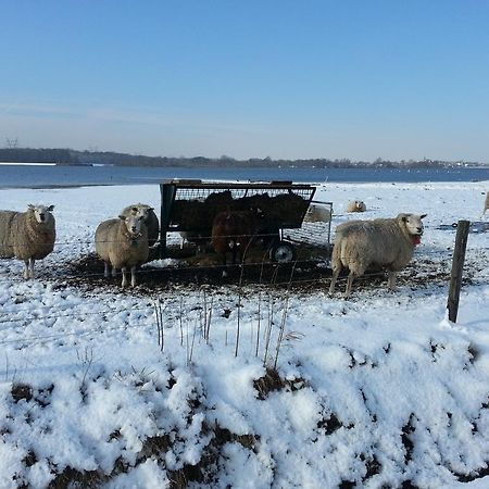 B&B De Rivierduin Hattem Dış mekan fotoğraf