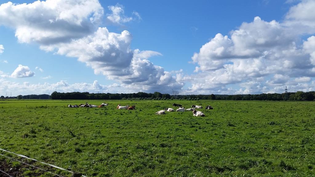B&B De Rivierduin Hattem Dış mekan fotoğraf