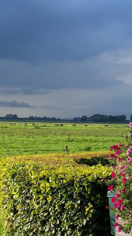 B&B De Rivierduin Hattem Dış mekan fotoğraf